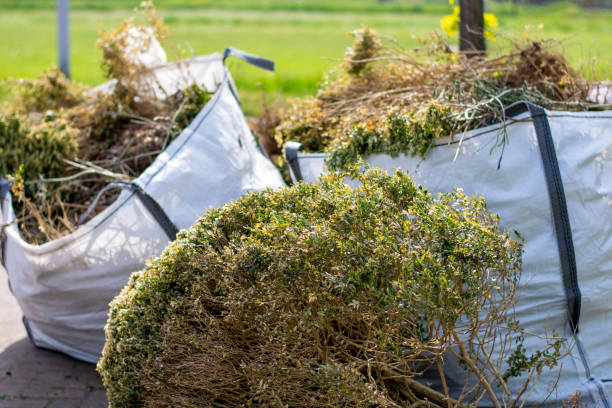 Best Same-Day Junk Removal  in Charlotte, MI